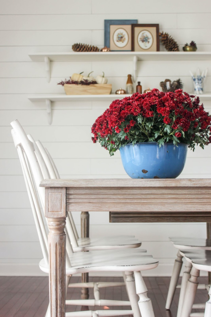 Fall Home Tour with Deep Reds and Blues: Mums in Fall Decor
