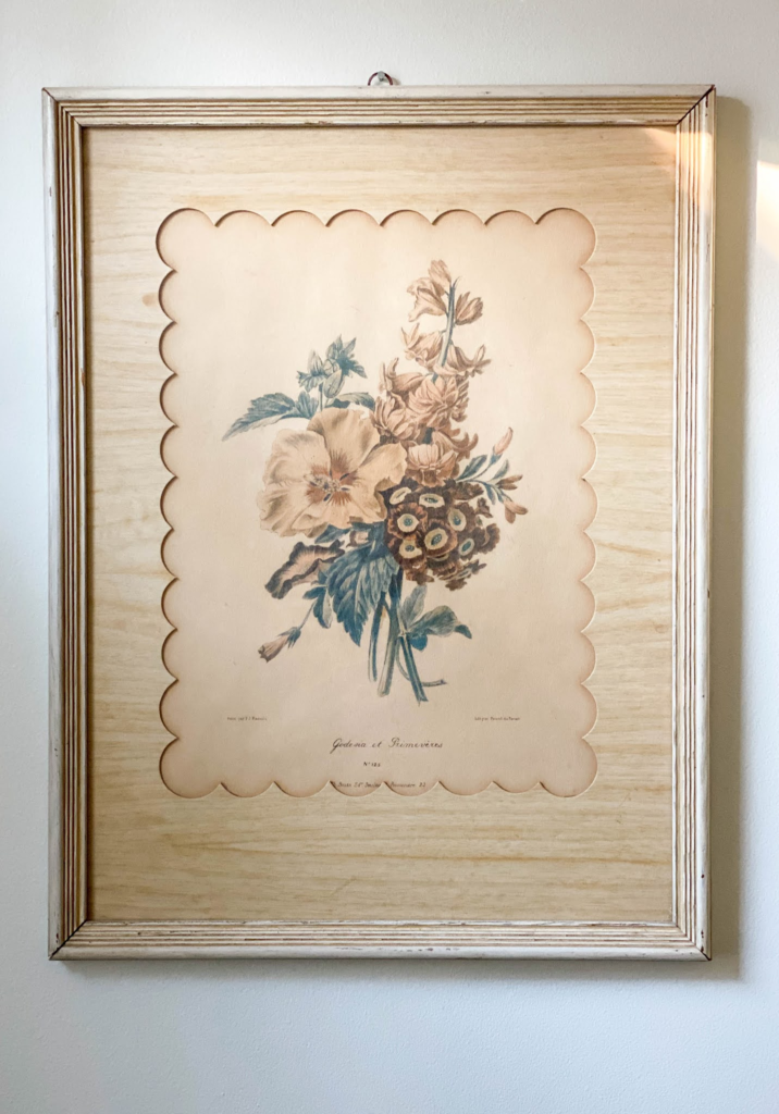 Framed Vintage Botanical Art Work