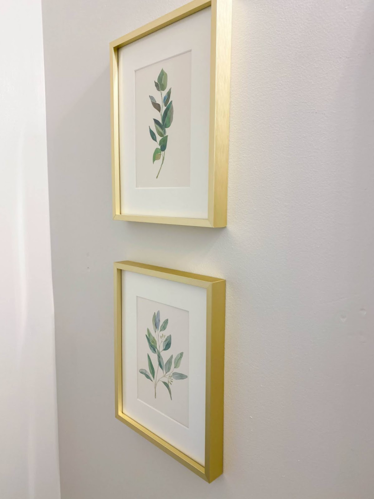 Brass Framed Botanical Prints